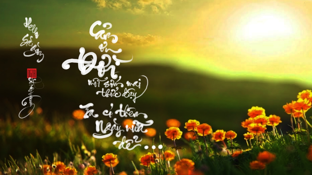 G5, Hello Sài Gòn !